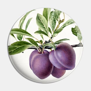 Plums (1919) Pin