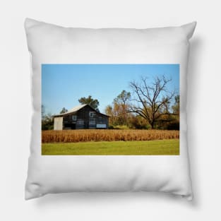 Barn Landscape Pillow