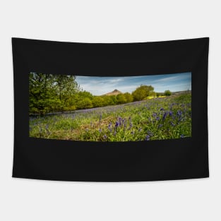 Roseberry Topping Bluebells Tapestry