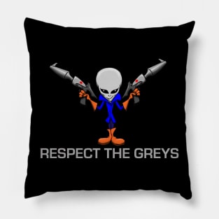 Respect the Greys Pillow