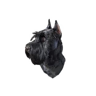 Giant Schnauzer Black Beauty T-Shirt