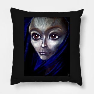 Jrooti&#39;s Blue Silk Scarf Pillow