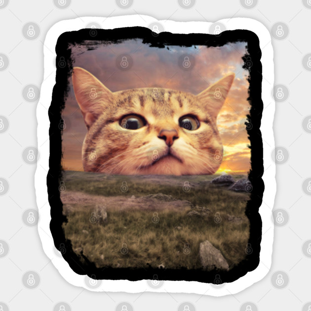 Meow Big Head Cat Funny Gift Cat Sticker Teepublic Uk