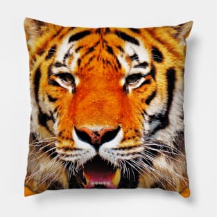 Tiger Orange Tee Pillow