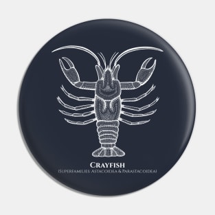 Crayfish with Common and Latin Names - detailed animal design Pin