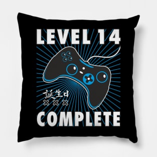 Level 14 Complete Teenager Birthday Pillow