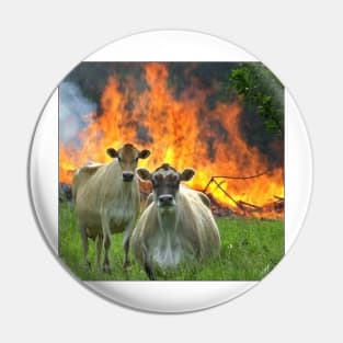 Evil Cows Pin