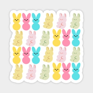 Illustration Cute Bunny Rabbit 2023 New Year Magnet