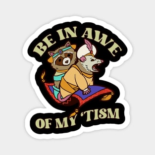 Funny Be In Awe Of My Tism Funny Raccoon Possum Magnet