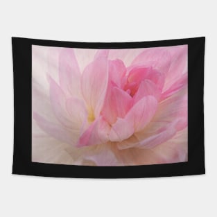 Dreamy Pink Tapestry