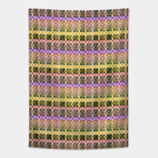 Pink and yellow stripes Tapestry