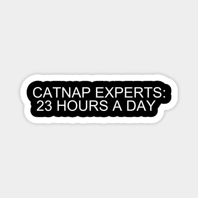 Catnap Masters: Embrace Zen-like Slumbers for 23 Blissful Hours! Magnet by flooky