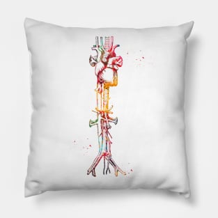 Aorta vein and heart Pillow