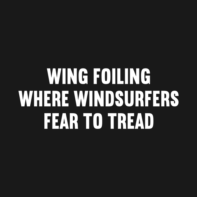 Wing Foiling Where Windsurfers Fear to Tread by trendynoize