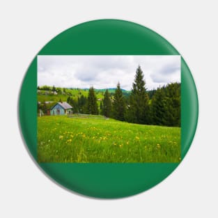 countryside Pin