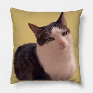 Sarcastic cat rolling eyes meme Pillow