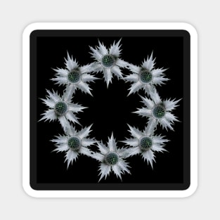 Ring of Eryngium Magnet