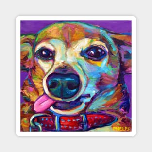 Cute Derpy Chiweenie Puppy on Violet Magnet