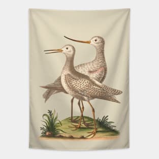 Pair of Birds Nature Illustration Tapestry