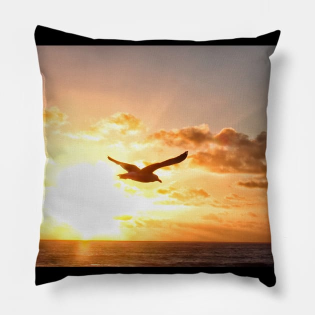 Sunset photobomb by gull Pillow by Photography_fan