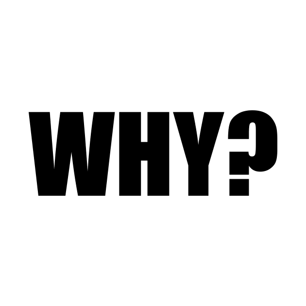 WHY? by N1L3SH