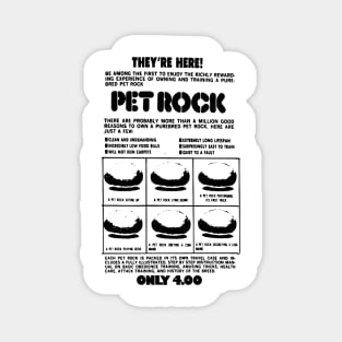 pet rock Magnet