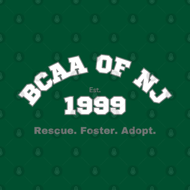 BCAA - Est. 1999 by BCAAofNJ Store