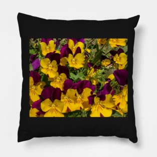 Purple and Gold Pansies Pillow