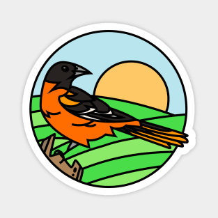 Baltimore Oriole Magnet