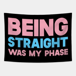 Being Straight Was My Phase Tapestry