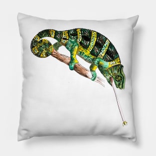 Chameleon Pillow