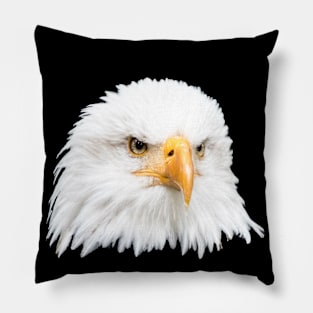 Bald eagle Pillow