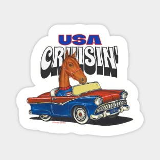 Cute Horse driving funny vintage car through the USA Magnet