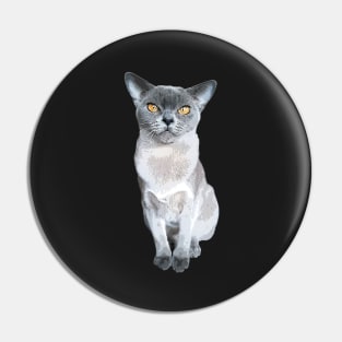 Burmese Cat Pin