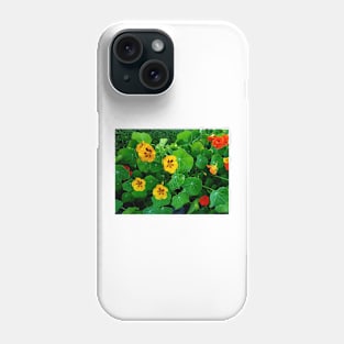 Yellow and orange nasturtiums Phone Case