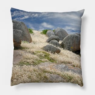 Grass tails among the granite Pillow