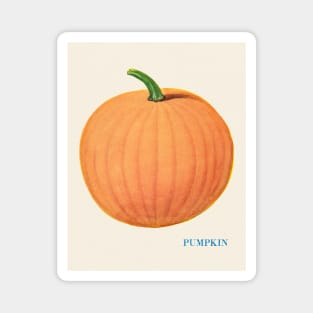 Illustration of Pumpkin (1915) Magnet