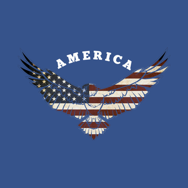 Disover America - Eagle - America - T-Shirt