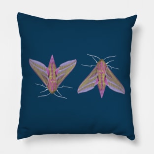 Pink Moths Pillow