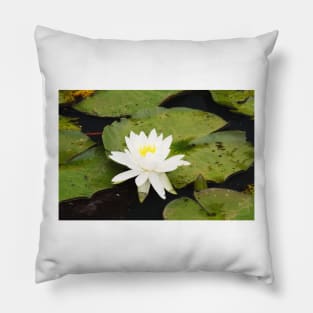 Water lily Pillow