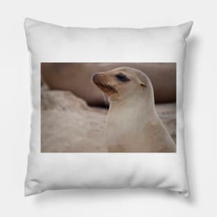 Sea Lion Friend Pillow