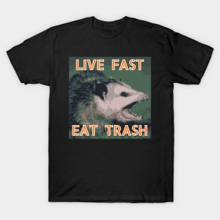 Live Fast Eat Trash Raccoon Opossum Shirt – Wicked Clothes