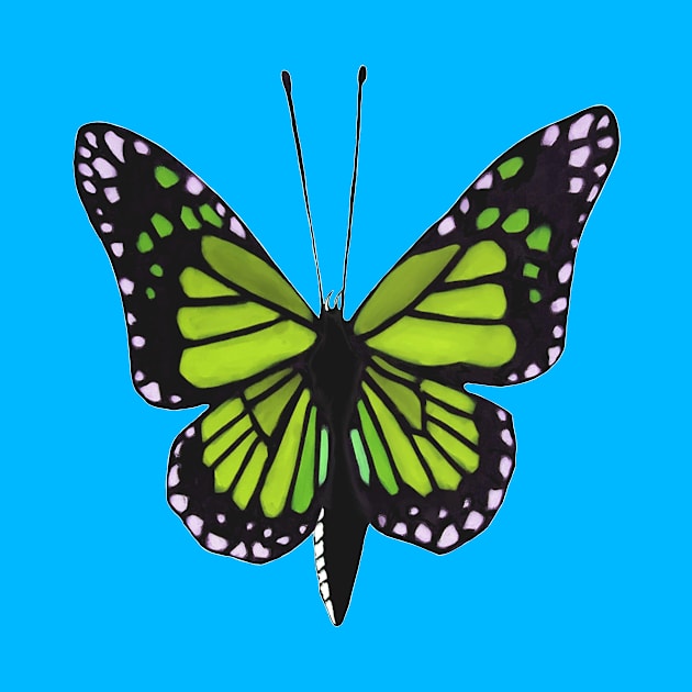 Butterfly 02m, transparent background by kensor