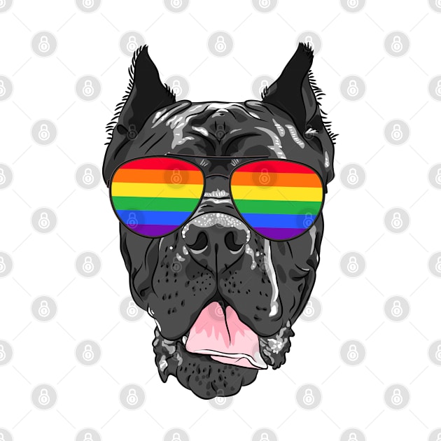 Pitbull gay lesbian pride LGBT bisexual rainbow flag lgbtq by CreativeShirt