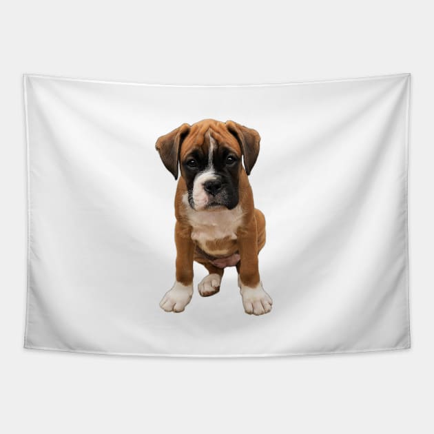 Boxer Cute Puppy Dog Tapestry by ElegantCat
