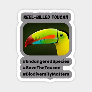 Endangered Toucan Magnet