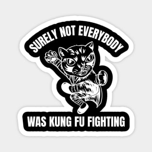 surely-not-everybody-was-kung-fu-fighting Magnet
