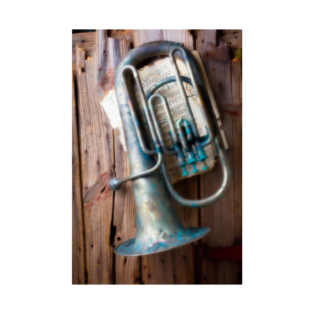 Weathered Tuba Hanging On Old Wall by photogarry