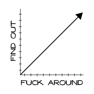 Fuck Around and Find Out Chart Graph T-Shirt