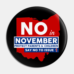 Vote NO in November Pin